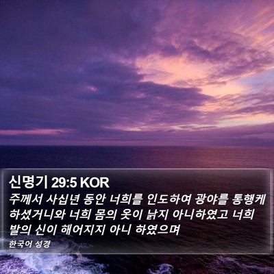 신명기 29:5 KOR Bible Verse Image