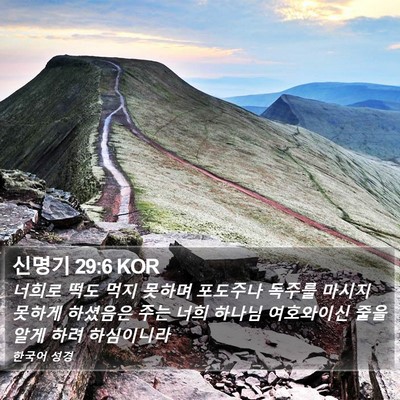 신명기 29:6 KOR Bible Verse Image