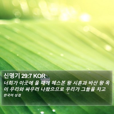 신명기 29:7 KOR Bible Verse Image