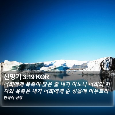 신명기 3:19 KOR Bible Verse Image