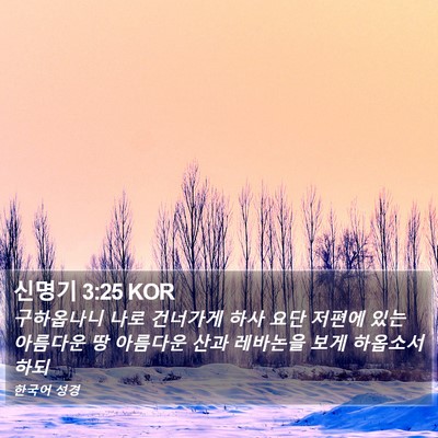 신명기 3:25 KOR Bible Verse Image
