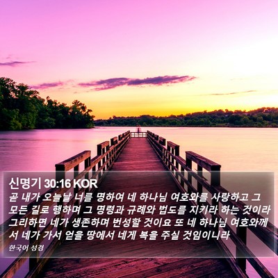 신명기 30:16 KOR Bible Verse Image