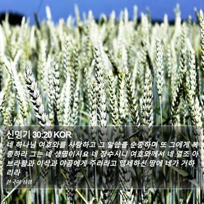 신명기 30:20 KOR Bible Verse Image