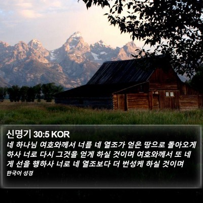 신명기 30:5 KOR Bible Verse Image