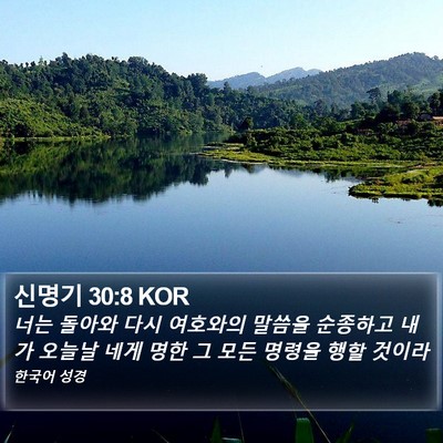 신명기 30:8 KOR Bible Verse Image