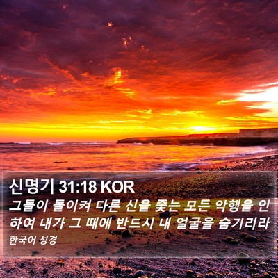 신명기 31:18 KOR Bible Verse Image
