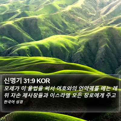 신명기 31:9 KOR Bible Verse Image