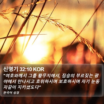신명기 32:10 KOR Bible Verse Image
