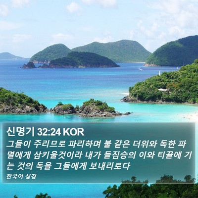 신명기 32:24 KOR Bible Verse Image
