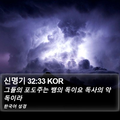 신명기 32:33 KOR Bible Verse Image