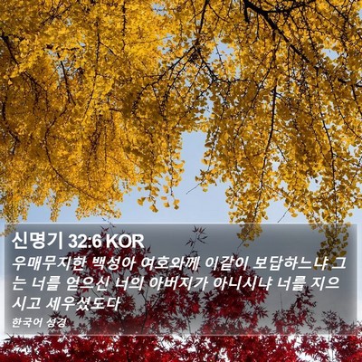 신명기 32:6 KOR Bible Verse Image