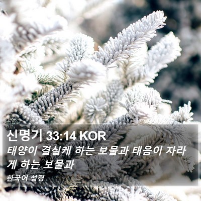 신명기 33:14 KOR Bible Verse Image