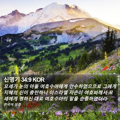 신명기 34:9 KOR Bible Verse Image
