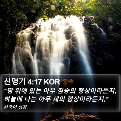 신명기 4:17 KOR Bible Verse Image