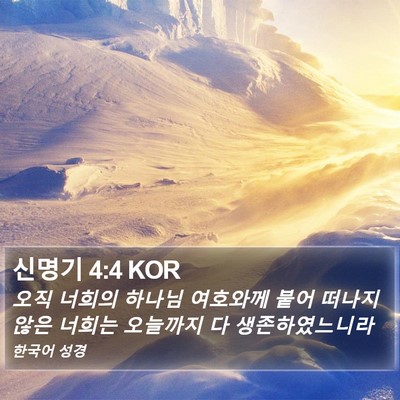 신명기 4:4 KOR Bible Verse Image