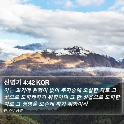 신명기 4:42 KOR Bible Verse Image