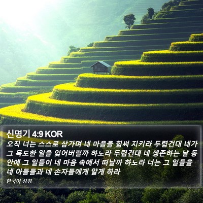 신명기 4:9 KOR Bible Verse Image