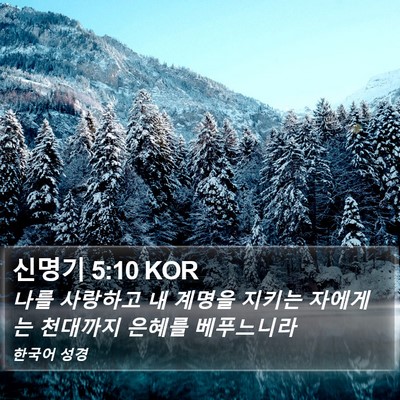 신명기 5:10 KOR Bible Verse Image