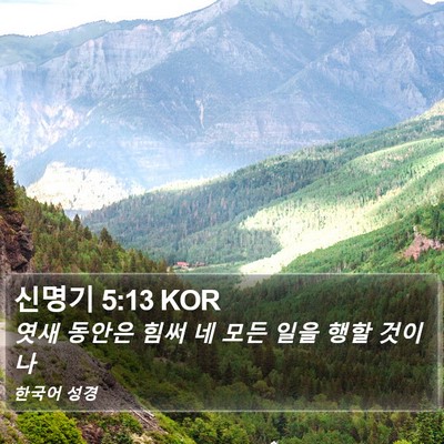 신명기 5:13 KOR Bible Verse Image