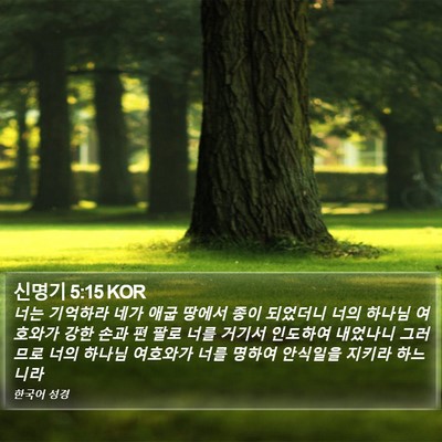 신명기 5:15 KOR Bible Verse Image