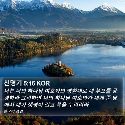 신명기 5:16 KOR Bible Verse Image