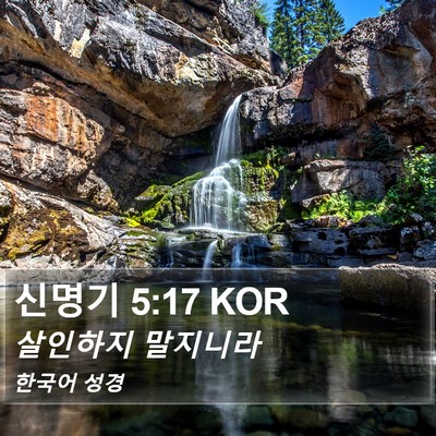 신명기 5:17 KOR Bible Verse Image