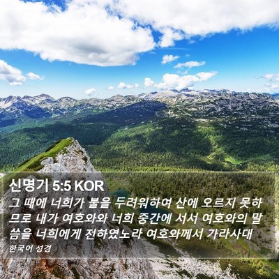 신명기 5:5 KOR Bible Verse Image