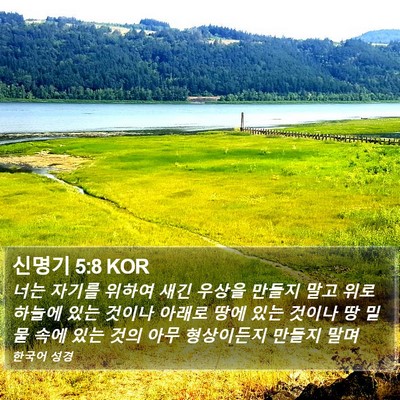 신명기 5:8 KOR Bible Verse Image