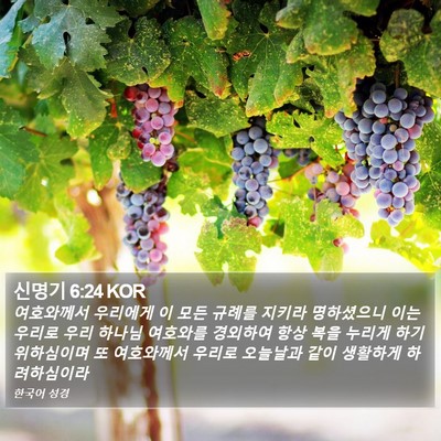신명기 6:24 KOR Bible Verse Image