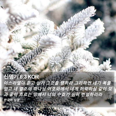 신명기 6:3 KOR Bible Verse Image