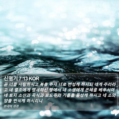 신명기 7:13 KOR Bible Verse Image