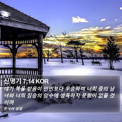 신명기 7:14 KOR Bible Verse Image