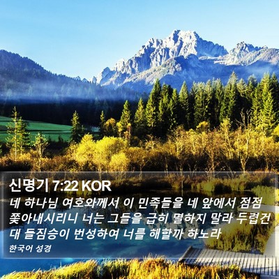신명기 7:22 KOR Bible Verse Image
