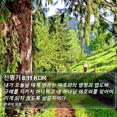 신명기 8:11 KOR Bible Verse Image