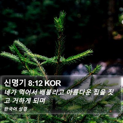 신명기 8:12 KOR Bible Verse Image