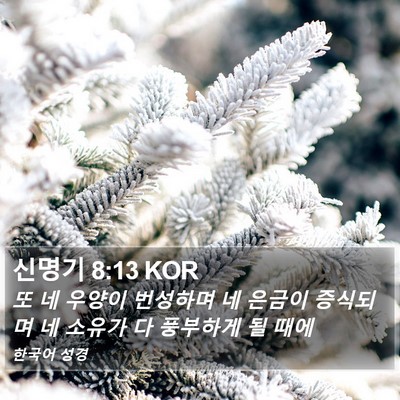 신명기 8:13 KOR Bible Verse Image