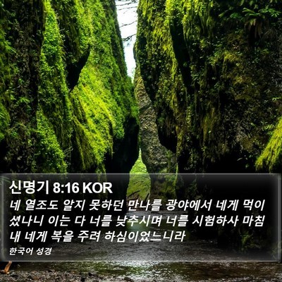 신명기 8:16 KOR Bible Verse Image