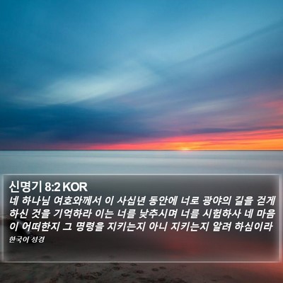 신명기 8:2 KOR Bible Verse Image