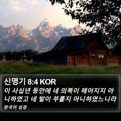 신명기 8:4 KOR Bible Verse Image
