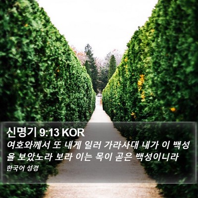 신명기 9:13 KOR Bible Verse Image