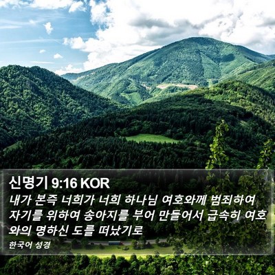 신명기 9:16 KOR Bible Verse Image