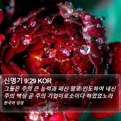 신명기 9:29 KOR Bible Verse Image