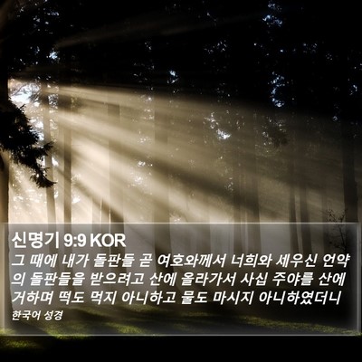 신명기 9:9 KOR Bible Verse Image