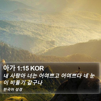 아가 1:15 KOR Bible Verse Image