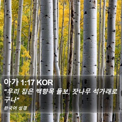 아가 1:17 KOR Bible Verse Image