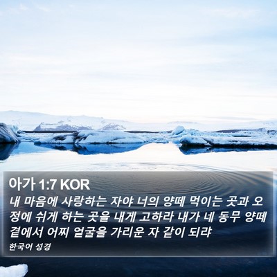 아가 1:7 KOR Bible Verse Image