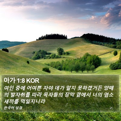 아가 1:8 KOR Bible Verse Image