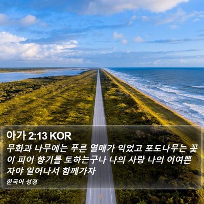 아가 2:13 KOR Bible Verse Image