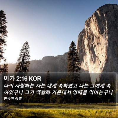 아가 2:16 KOR Bible Verse Image