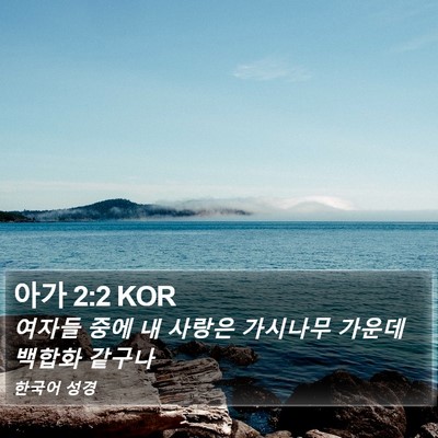 아가 2:2 KOR Bible Verse Image